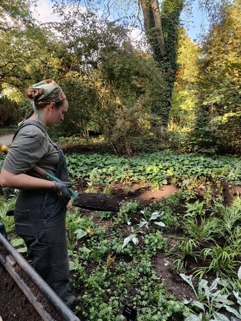 Weekly catch up with garden and propagation Weekly catch up with garden and propagation