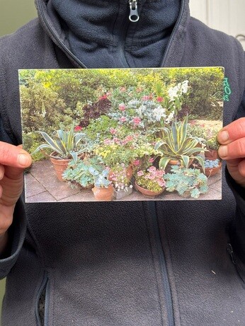 Weekly catch up with garden & propagation Weekly catch up with garden & propagation