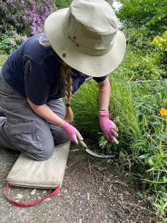 A look back at 2024 with the garden team A look back at 2024 with the garden team