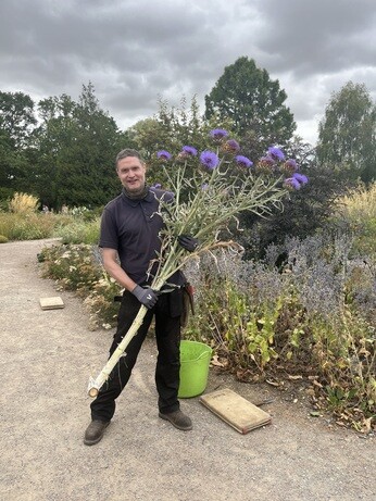Weekly catchup with garden and propagation Weekly catchup with garden and propagation