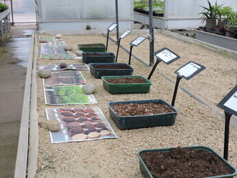 Propagation Team- Year End Propagation Team- Year End