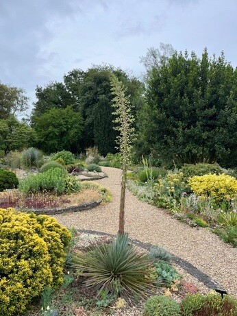 Weekly catch up with garden and propagation Weekly catch up with garden and propagation