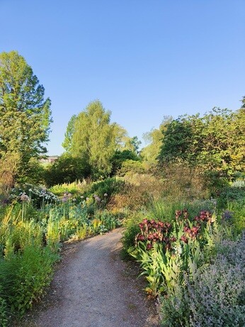 Weekly catch up with garden and propagation Weekly catch up with garden and propagation