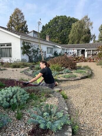 Weekly catch up with garden and propagation Weekly catch up with garden and propagation