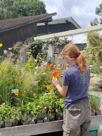 Weekly catch up with garden & propagation Weekly catch up with garden & propagation
