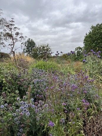 Weekly catchup with garden and propagation Weekly catchup with garden and propagation
