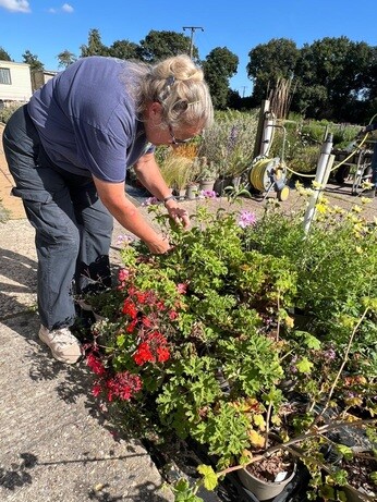 Weekly catch up with garden & propagation Weekly catch up with garden & propagation