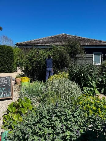 Weekly catch up with garden & propagation Weekly catch up with garden & propagation