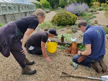 Late summer garden jobs Late summer garden jobs