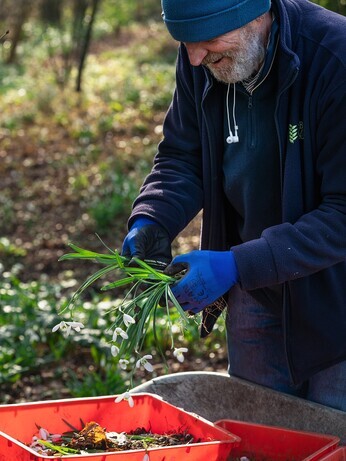 February news from the garden and propagation February news from the garden and propagation