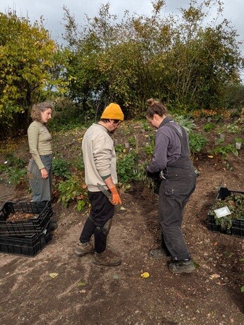 A look back at 2025 with the garden team A look back at 2025 with the garden team