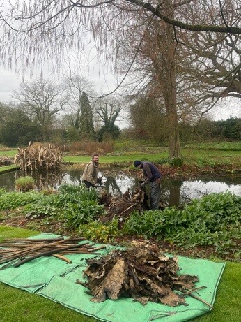 Weekly catch up with garden & propagation Weekly catch up with garden & propagation
