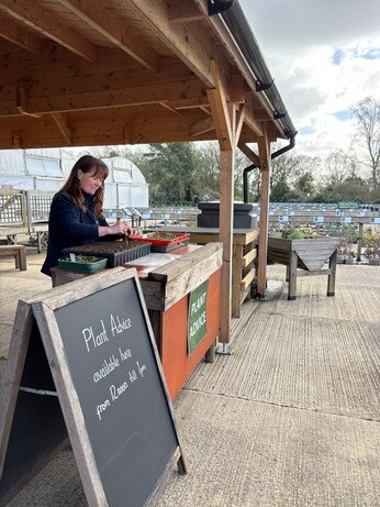 Weekly catch up with garden & propagation Weekly catch up with garden & propagation