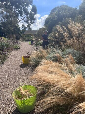 A look back at 2024 with the garden team A look back at 2024 with the garden team