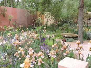The Chelsea Flower Show 2023 The Chelsea Flower Show 2023