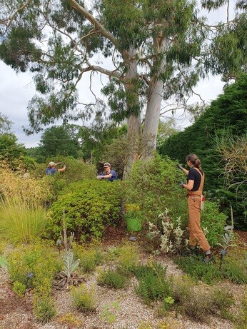 Weekly catch up with garden & propagation Weekly catch up with garden & propagation
