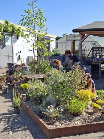 Weekly catch up with gardens & propagation Weekly catch up with gardens & propagation