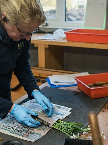 February news from the garden and propagation February news from the garden and propagation
