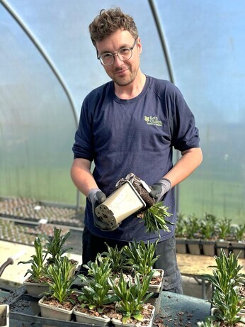 Weekly catch up with gardens & propagation Weekly catch up with gardens & propagation