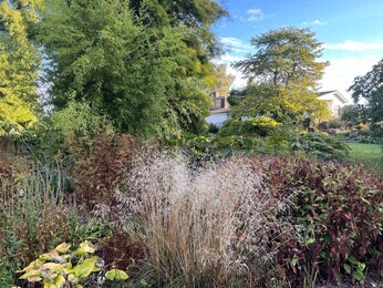 Ornamental Grasses for Autumnal Interest Ornamental Grasses for Autumnal Interest
