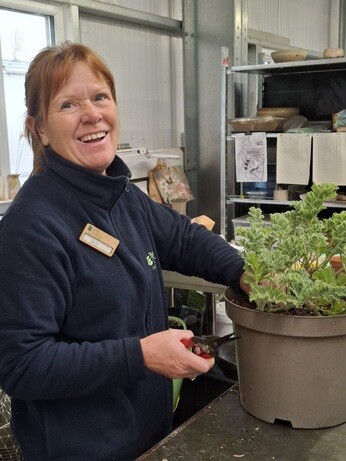 Weekly catch up with garden & propagation Weekly catch up with garden & propagation