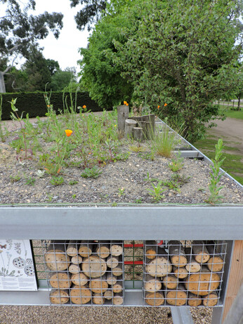 Our Green Roof Bike Shelter Our Green Roof Bike Shelter