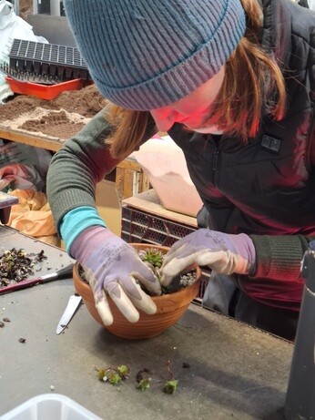 Weekly catch up with garden & propagation Weekly catch up with garden & propagation