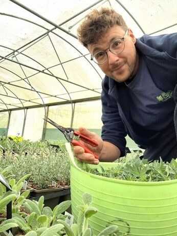 Weekly catch up with gardens & propagation Weekly catch up with gardens & propagation