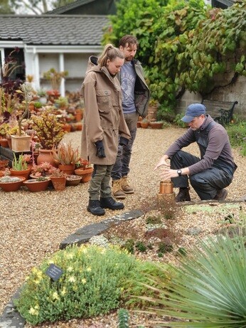 Weekly catch up with garden & propagation Weekly catch up with garden & propagation
