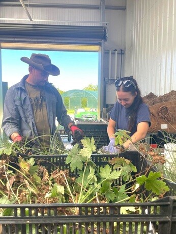Weekly catch up with garden & propagation Weekly catch up with garden & propagation