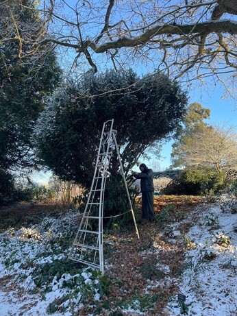 Weekly catch up with garden & propagation Weekly catch up with garden & propagation