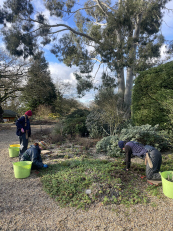 Weekly catch up with garden & propagation Weekly catch up with garden & propagation