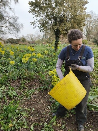 Weekly catch up with garden & propagation Weekly catch up with garden & propagation