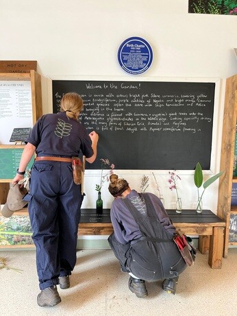 Weekly catch up with garden & propagation Weekly catch up with garden & propagation