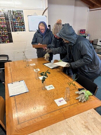 Weekly catch up with garden & propagation Weekly catch up with garden & propagation