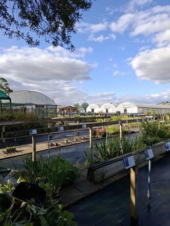 Weekly catchup with garden and propagation Weekly catchup with garden and propagation
