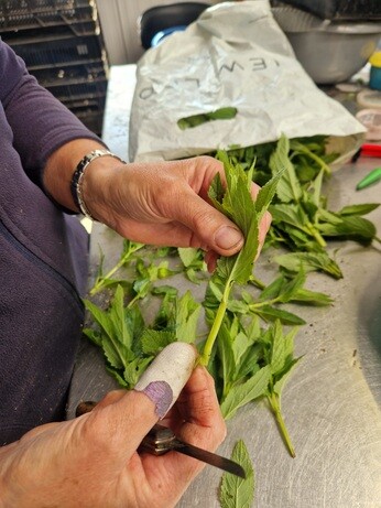Propagation jobs this month Propagation jobs this month