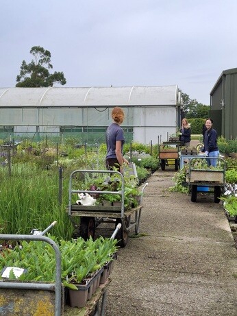 Weekly catch up with garden & propagation Weekly catch up with garden & propagation