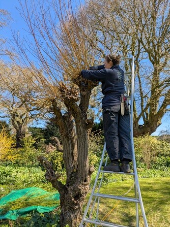 Weekly catch up with gardens & propagation Weekly catch up with gardens & propagation