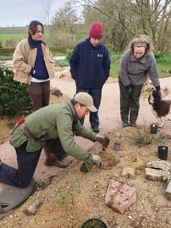 Garden connections – planting at Benton End Garden connections – planting at Benton End