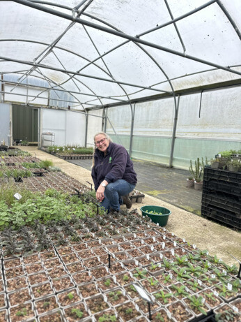 Weekly catch up with garden & propagation Weekly catch up with garden & propagation