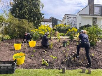 Rejuvenating a Tired Garden Border Rejuvenating a Tired Garden Border
