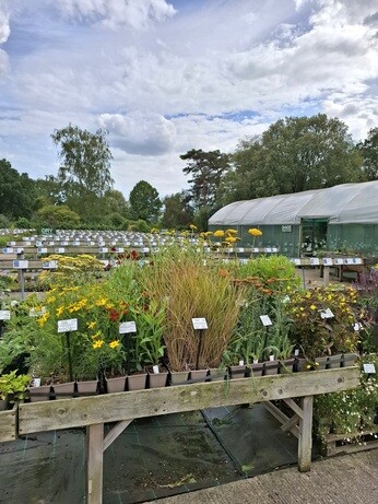 Weekly catch up with garden & propagation Weekly catch up with garden & propagation