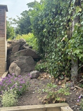 Gardening Dilemmas - Part 5 Gardening Dilemmas - Part 5