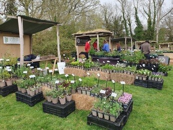 A glorious weekend at Great Dixter's Spring Plant Fair A glorious weekend at Great Dixter's Spring Plant Fair