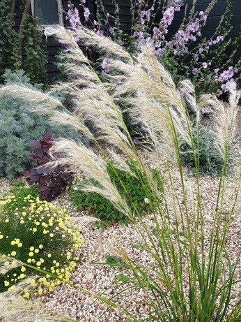 February news from the garden and propagation February news from the garden and propagation