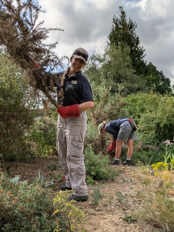 Weekly catch up with garden & propagation Weekly catch up with garden & propagation
