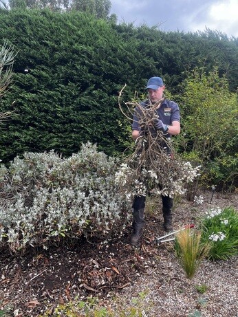 Weekly catch up with garden & propagation Weekly catch up with garden & propagation