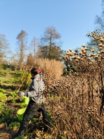 Weekly catch up with garden & propagation Weekly catch up with garden & propagation