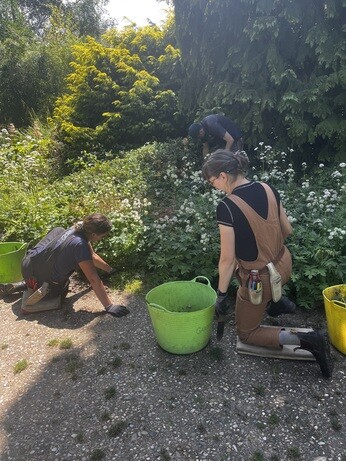 Weekly catch up with garden & propagation Weekly catch up with garden & propagation